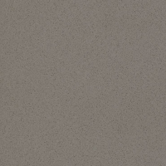 grigio topolino
